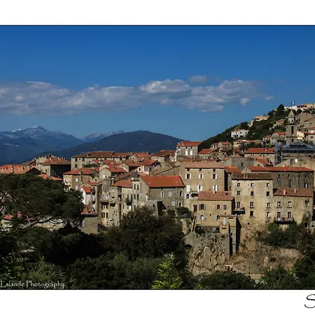 Apartment Petit Nid Dans La Vieille Sartene (Corsica)